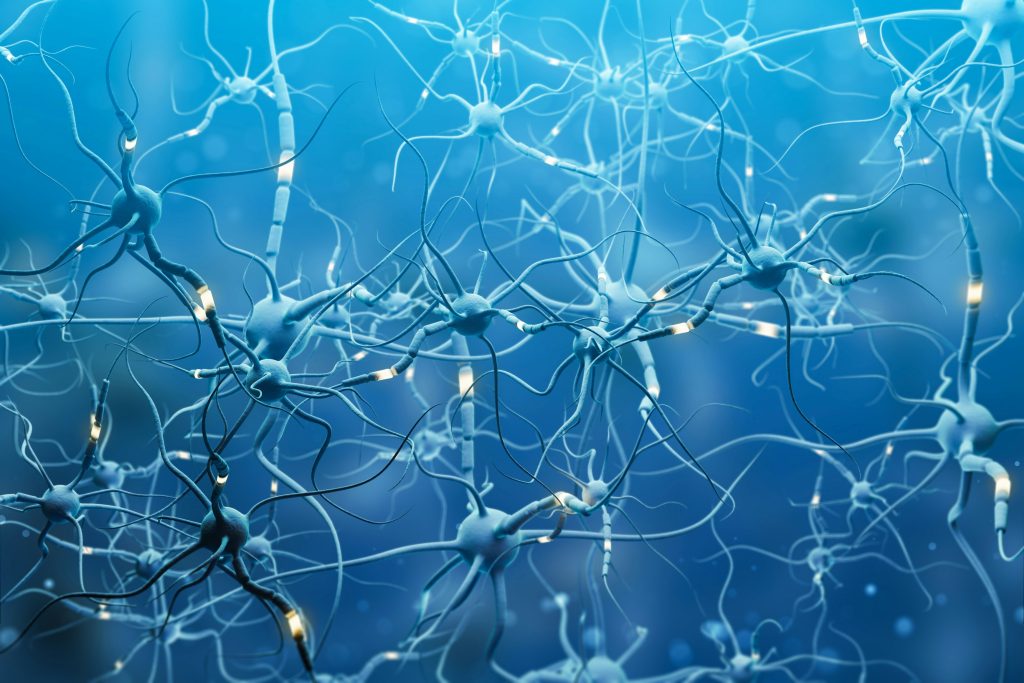 nerfs affectés par le virus du zona