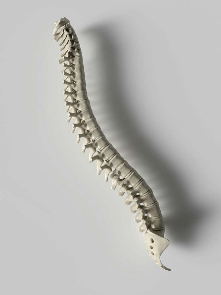 Cervicales