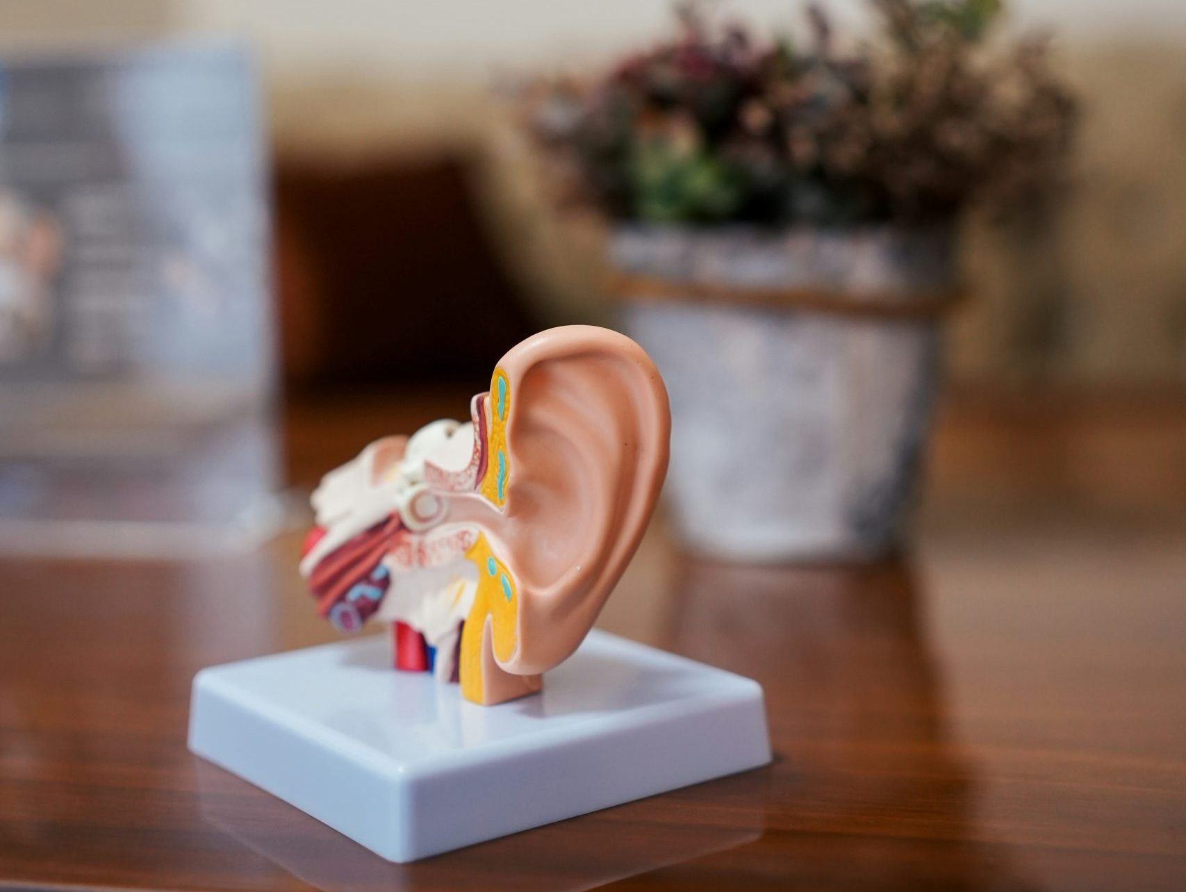 Acouphènes : comprendre les causes, les conséquences et les solutions pour mieux vivre avec ces bruits parasites